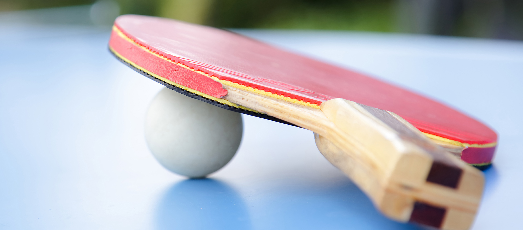 shutterstock_115253233_2-500x220_19